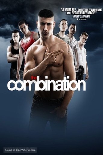 The Combination Poster of The Combination