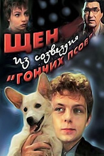 A Puppy from the Constellation of the Dog Poster of A Puppy from the Constellation of the Dog