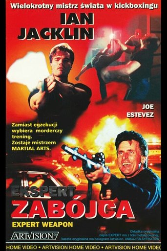 Expert Weapon Poster of Expert Weapon