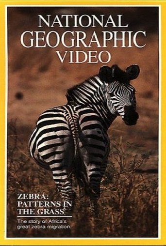 Zebras: Patterns in the Grass Poster of Zebras: Patterns in the Grass
