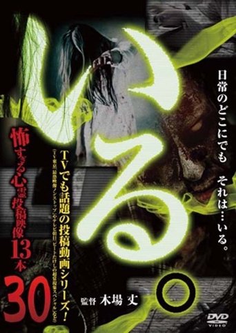 「Iru.」~ Kowasugiru Tōkō Eizō 13-hon ~ Vol.30 Poster of 「Iru.」~ Kowasugiru Tōkō Eizō 13-hon ~ Vol.30