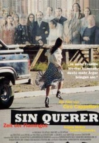 Sin querer Poster of Sin querer