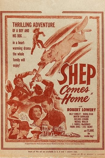 Shep Comes Home Poster of Shep Comes Home