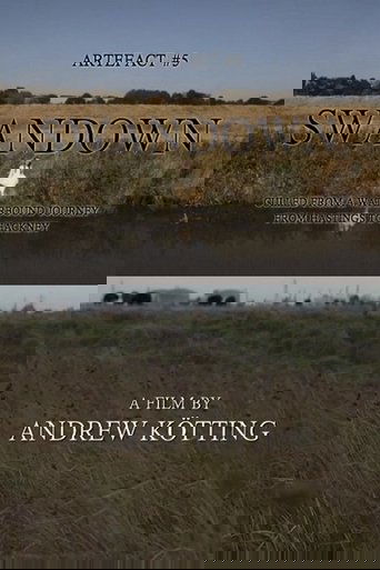 Artefact #5: Swandown – Culled from a Waterbound Journey from Hastings to Hackney Poster of Artefact #5: Swandown – Culled from a Waterbound Journey from Hastings to Hackney