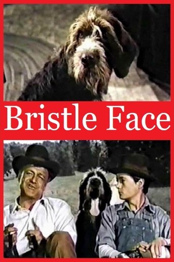 Bristle Face Poster of Bristle Face