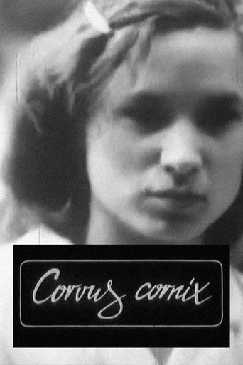Corvus Cornix - From Latin as Raven Poster of Corvus Cornix - From Latin as Raven