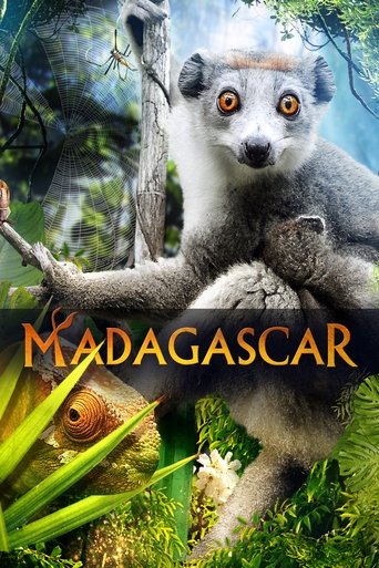 Madagascar 3D Poster of Madagascar 3D
