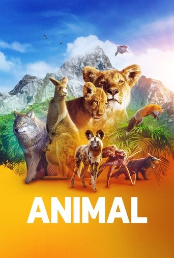 Animal Poster of Animal