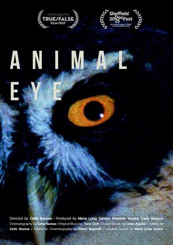 Animal Eye Poster of Animal Eye