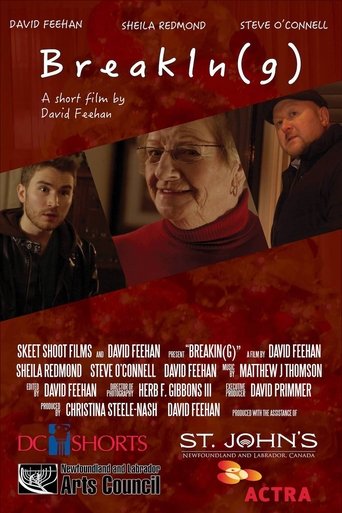 BreakIn(g) Poster of BreakIn(g)