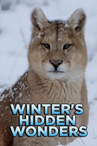 Winter's Hidden Wonders Poster of Winter's Hidden Wonders