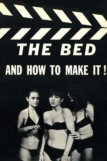 The Bed and How to Make It! Poster of The Bed and How to Make It!