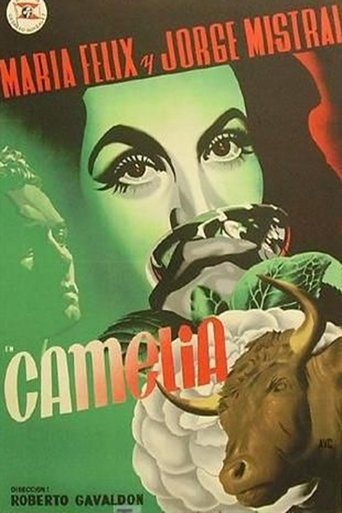 Camelia Poster of Camelia