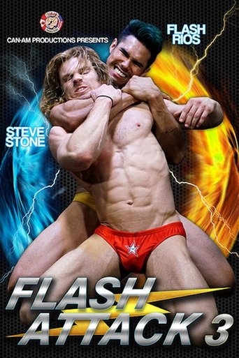 Flash Attack 3 Poster of Flash Attack 3