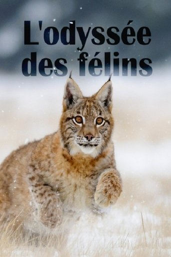 The Odyssey Of Felines Poster of The Odyssey Of Felines