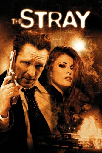 The Stray Poster of The Stray