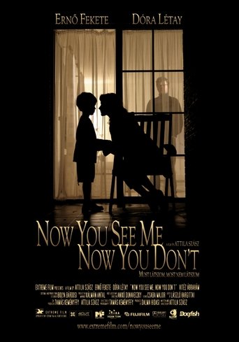 Now You See Me, Now You Don't Poster of Now You See Me, Now You Don't