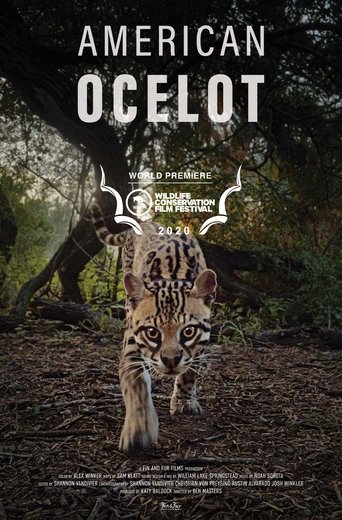 American Ocelot Poster of American Ocelot