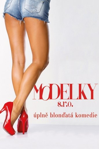 Modelky s.r.o. Poster of Modelky s.r.o.