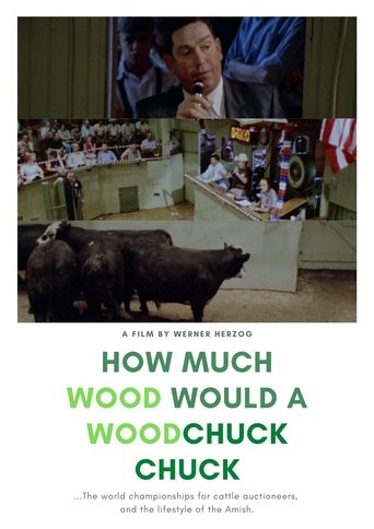 How Much Wood Would a Woodchuck Chuck Poster of How Much Wood Would a Woodchuck Chuck