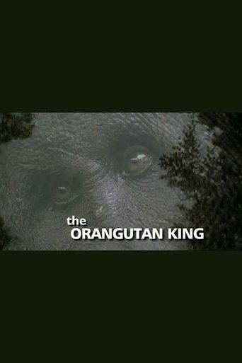 The Orangutan King Poster of The Orangutan King