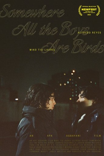 Somewhere all the boys are birds Poster of Somewhere all the boys are birds