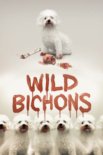 Wild Bichons Poster of Wild Bichons