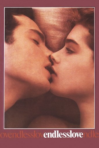 Endless Love Poster of Endless Love