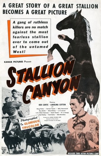 Stallion Canyon Poster of Stallion Canyon