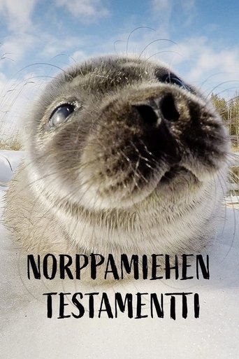 Norppamiehen testamentti Poster of Norppamiehen testamentti