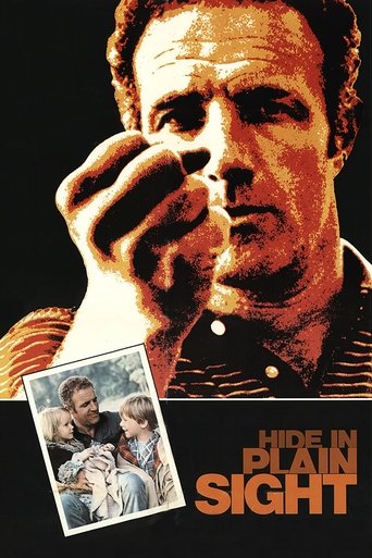 Hide in Plain Sight Poster of Hide in Plain Sight