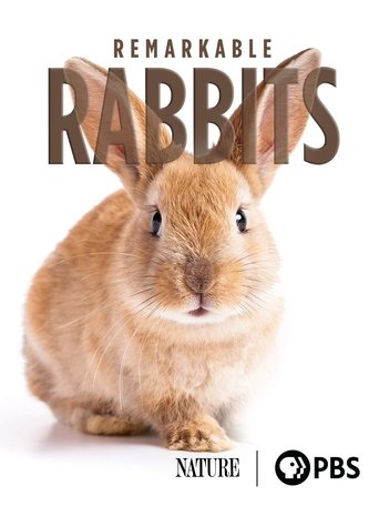 Remarkable Rabbits Poster of Remarkable Rabbits