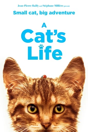 A Cat's Life Poster of A Cat's Life