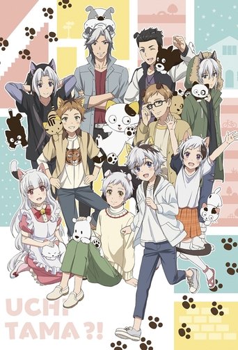 Uchitama?! Have You Seen My Tama? Poster of Uchitama?! Have You Seen My Tama?