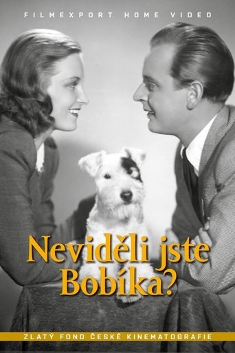 Neviděli jste Bobíka? Poster of Neviděli jste Bobíka?