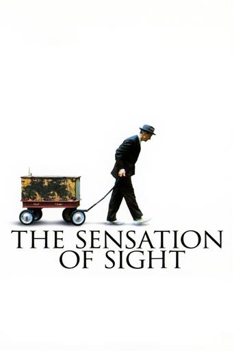 The Sensation of Sight Poster of The Sensation of Sight