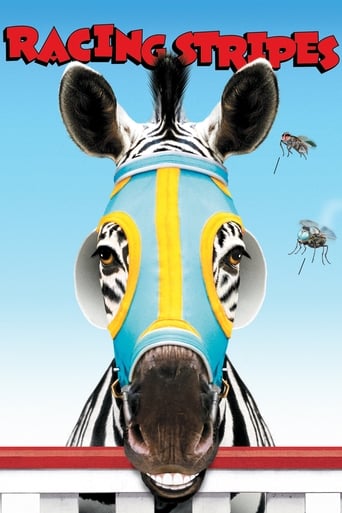 Racing Stripes Poster of Racing Stripes