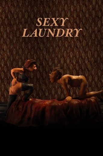 Sexy Laundry Poster of Sexy Laundry
