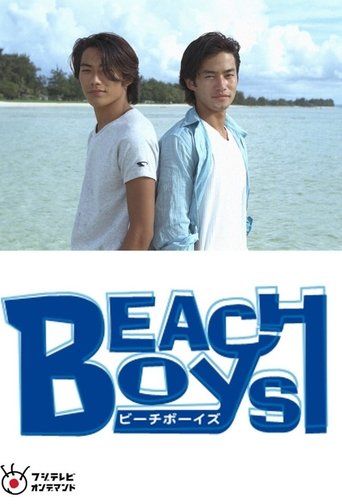 Beach Boys Special Poster of Beach Boys Special