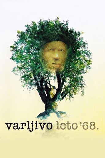 The Elusive Summer of '68 Poster of The Elusive Summer of '68