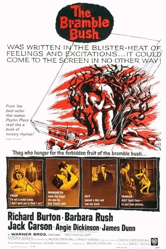 The Bramble Bush Poster of The Bramble Bush