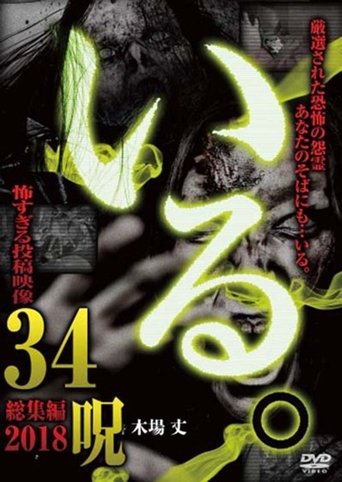 「Iru.」Sōshūhen ~ 2018 Kowasugiru Tōkō Eizō 34 Noroi ~ Poster of 「Iru.」Sōshūhen ~ 2018 Kowasugiru Tōkō Eizō 34 Noroi ~