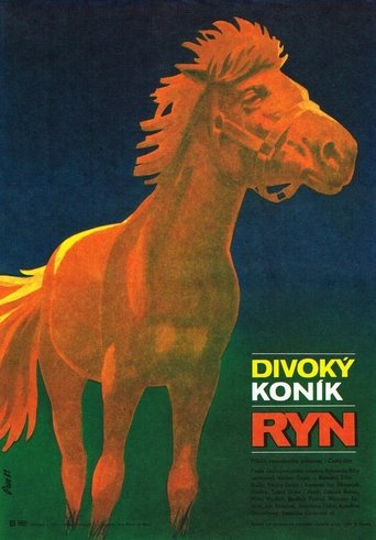 Divoký koník Ryn Poster of Divoký koník Ryn
