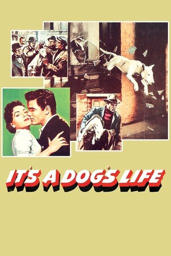 It's a Dog's Life Poster of It's a Dog's Life
