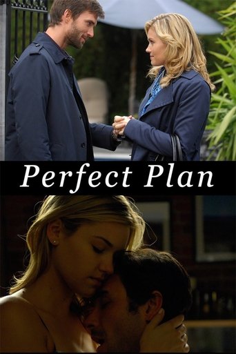 Perfect Plan Poster of Perfect Plan