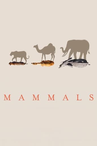 Mammals Poster of Mammals