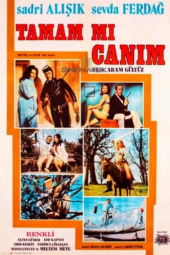Tamam mı Canım Poster of Tamam mı Canım