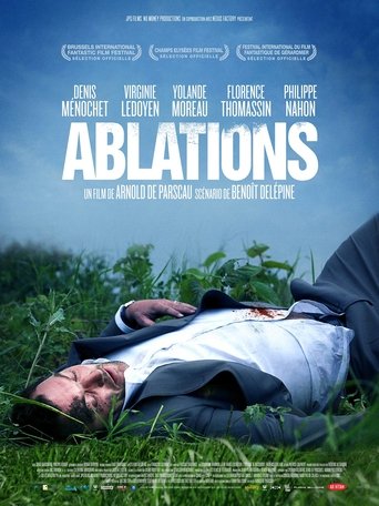 Ablations Poster of Ablations