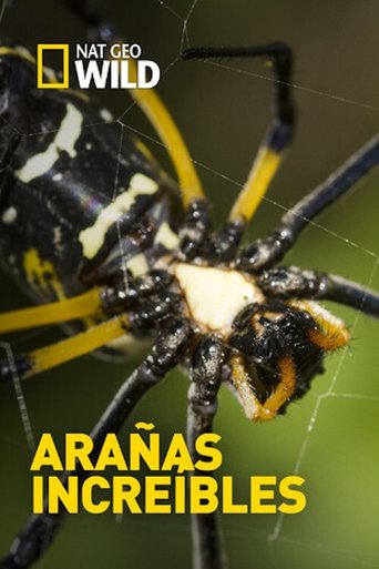 Incredible Spiders Poster of Incredible Spiders