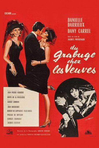 Trouble Among Widows Poster of Trouble Among Widows